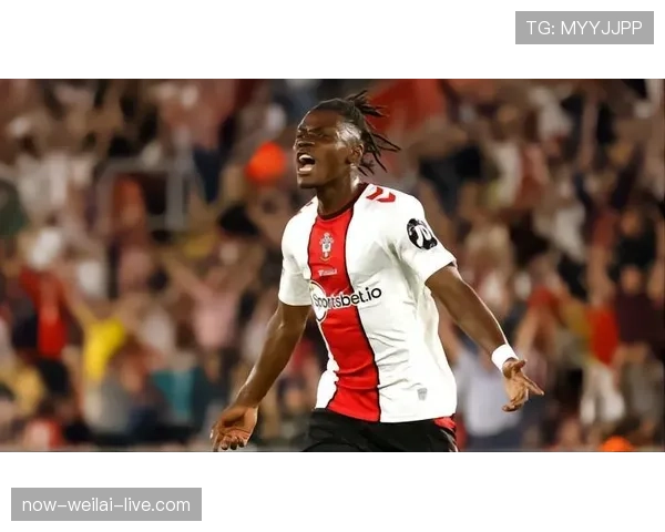 奥纳纳在比利时国家队主力轮换中的角色与竞争格局分析