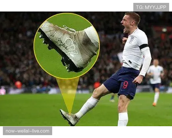 德约这次居然穿着普通球鞋登场？还是我眼花了？