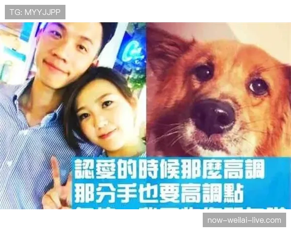 富里睡醒发现自家马场又多了匹新马，这月第几回了？