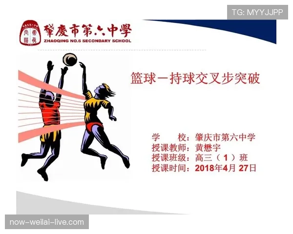 篮球持球规则详解：深入理解合法控球的界限