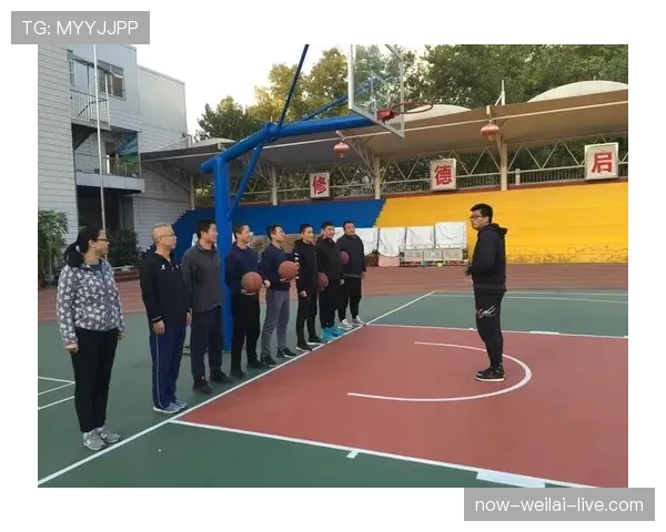 篮球比赛中后场规则的具体定义与违例判罚标准全面解析
